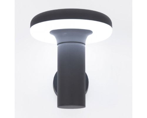 Настенный фонарь уличный CLU01W Citilux