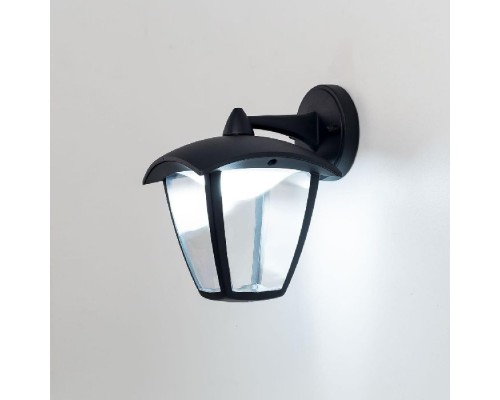 Настенный фонарь уличный CLU04W2 Citilux