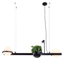 Подвесной светильник 10228 10228P/S black DeLight Collection