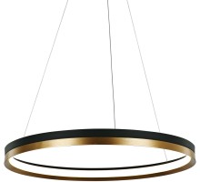 Подвесной светильник MD21001010 MD21001010-1B black/br.gold DeLight Collection