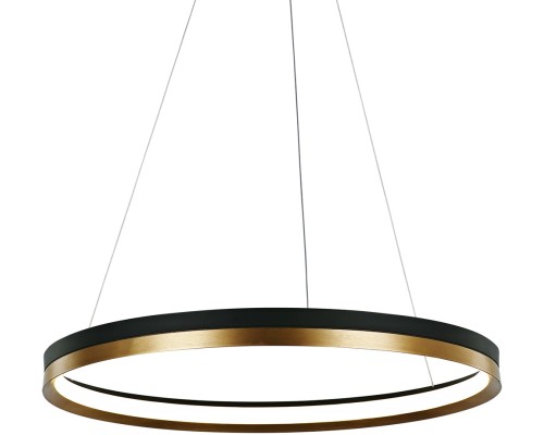 Подвесной светильник MD21001010 MD21001010-1B black/br.gold DeLight Collection