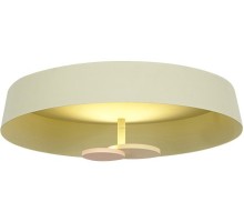 Потолочный светильник MX19001031 MX19001031-1A yellow DeLight Collection