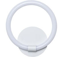 Настенный светильник Толедо 312024101 DeMarkt