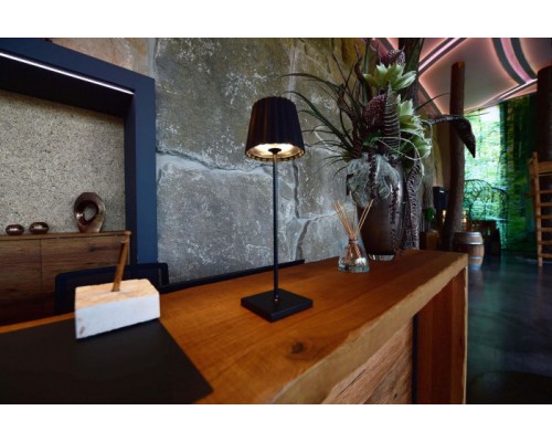 Интерьерная настольная лампа Sheratan 346014 Deko-Light