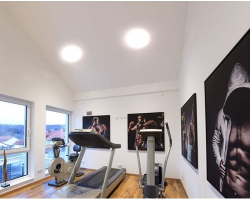 Потолочный светильник уличный Helen 348052 Deko-Light