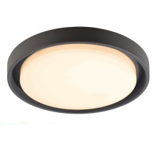 Потолочный светильник уличный Ascella 348069 Deko-Light