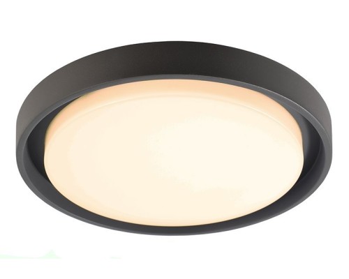 Потолочный светильник уличный Ascella 348069 Deko-Light