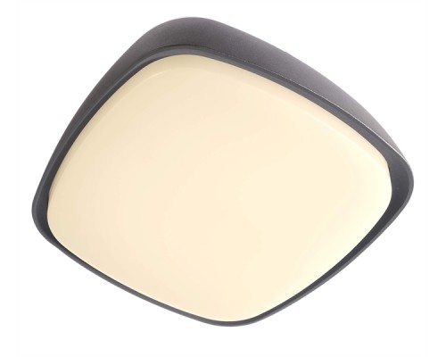 Потолочный светильник уличный Aurigae 348120 Deko-Light