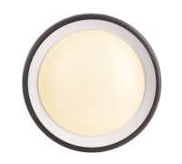 Настенный светильник уличный Canis 731043 Deko-Light