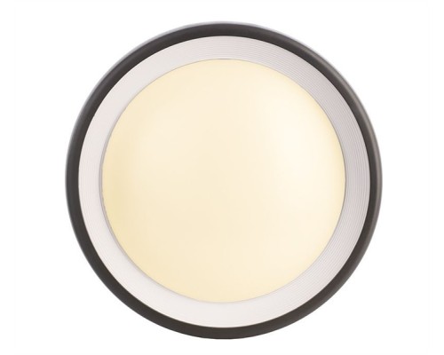 Настенный светильник уличный Canis 731043 Deko-Light