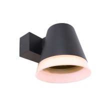 Настенный светильник уличный Serpentis 731076 Deko-Light