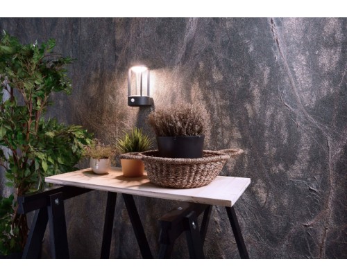 Настенный светильник уличный Albaldah 731132 Deko-Light