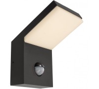 Настенный светильник уличный Tucanae 731133 Deko-Light