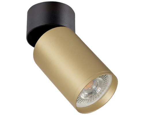 Спот Ikast DK2029-BG Denkirs