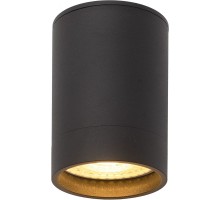 Точечный светильник DK2000 DK2050-BK Denkirs