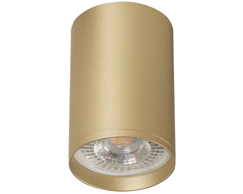 Точечный светильник TUBE DK2050-SG Denkirs