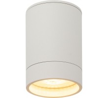 Точечный светильник DK2000 DK2050-WH Denkirs