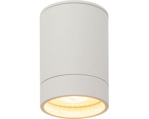 Точечный светильник DK2000 DK2050-WH Denkirs