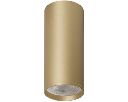 Точечный светильник TUBE DK2051-SG Denkirs