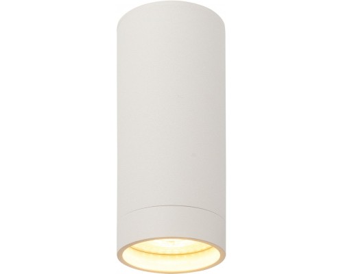 Точечный светильник DK2000 DK2051-WH Denkirs