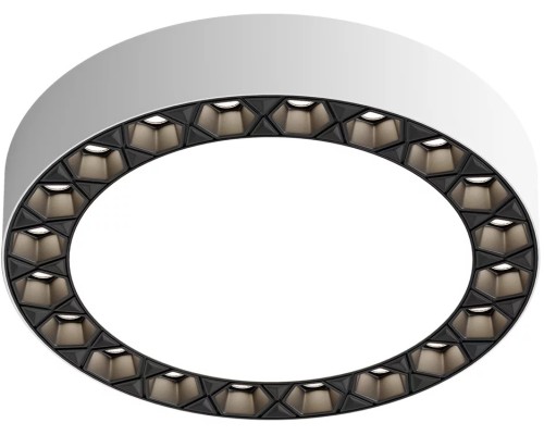 Потолочный светильник Dual DK2840-WB Denkirs