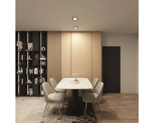 Потолочный светильник Dual DK2840-WB Denkirs