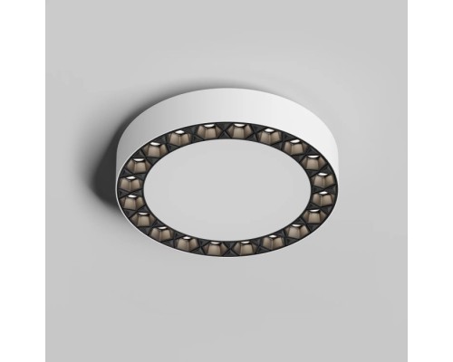 Потолочный светильник Dual DK2840-WB Denkirs