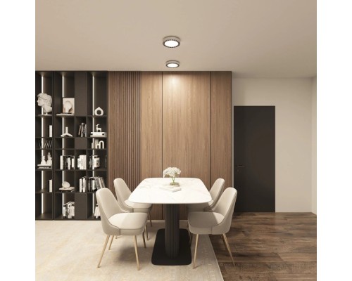 Потолочный светильник Dual DK2841-WB Denkirs