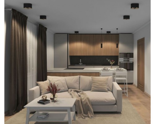 Точечный светильник DK3040 DK3036-BK Denkirs