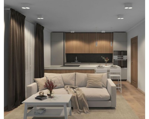 Точечный светильник DK3040 DK3036-WH Denkirs