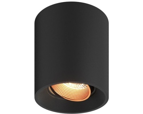 Точечный светильник DK3090-BBR Denkirs