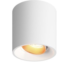 Точечный светильник DK3090-WBR Denkirs