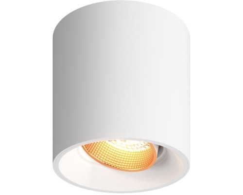 Точечный светильник DK3090-WBR Denkirs