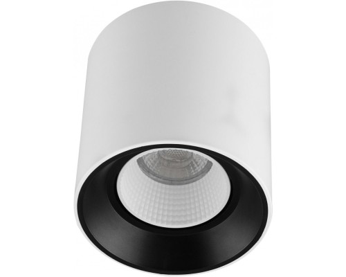 Точечный светильник DK3040 DK3090-WB+WH Denkirs