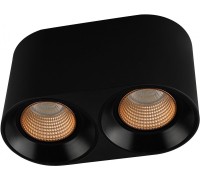 Точечный светильник DK3040 DK3096-BK+BR Denkirs