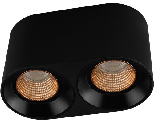 Точечный светильник DK3040 DK3096-BK+BR Denkirs