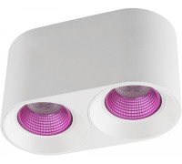 Точечный светильник DK3096-WH+PI Denkirs