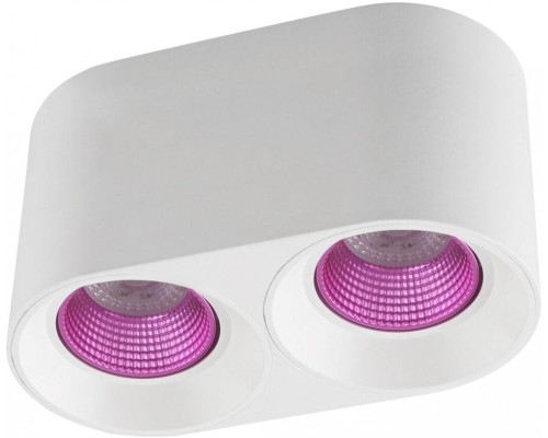 Точечный светильник DK3096-WH+PI Denkirs