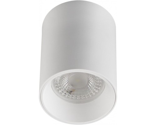 Точечный светильник DK3110 DK3110-WH Denkirs