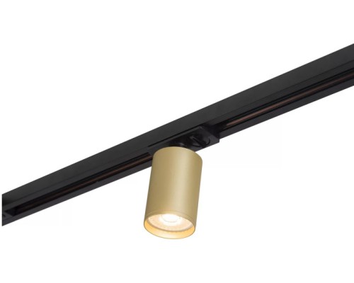 Трековый светильник TUBE DK6201-BG Denkirs