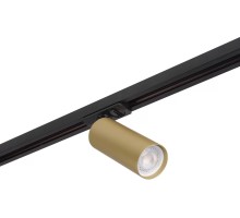 Трековый светильник TUBE DK6202-BG Denkirs