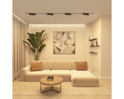 Трековый светильник Edder DK6434-BK Denkirs