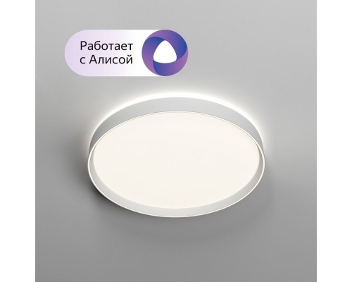 Потолочный светильник PLATO DK6511-WH Denkirs