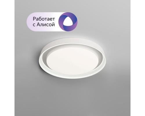 Потолочный светильник Cany DK6515-WH Denkirs