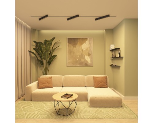 Трековый светильник Edder DK6634-BK Denkirs