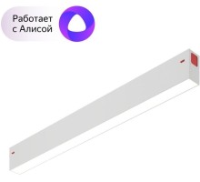 Трековый светильник Smart DK8004-WH Denkirs