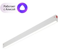 Трековый светильник Smart DK8005-WH Denkirs