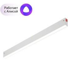 Трековый светильник Smart DK8005-WH Denkirs