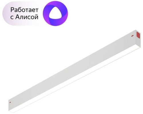 Трековый светильник Smart DK8005-WH Denkirs