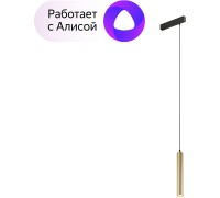 Трековый светильник SMART SPOT DK8008-BG Denkirs